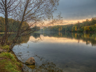 Rainy morning at the forest pond, with forest at far side, trees and rock on foreground.