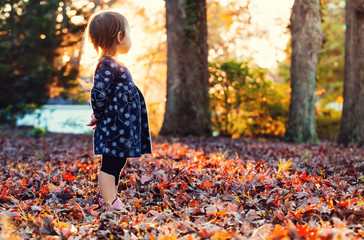 Toddler girl standing outside in the autumn leaves at sunset