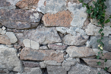 altes Mauerwerk mit Bewuchs