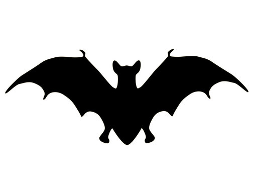 Silhouette of a bat isolated on a white background.