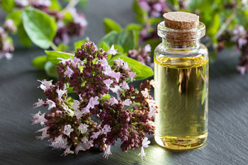 A bottle of oregano essential oil with blooming oregano