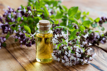 A bottle of oregano essential oil with blooming oregano