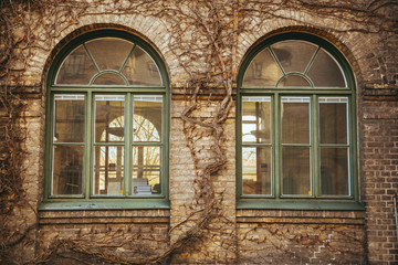 Two old windows covered with roots and plants at the university of Alnarp in Sweden