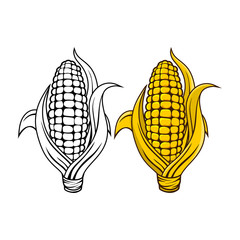 Logo and symbol of corn for Thanksgiving Day