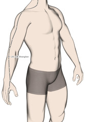 Fototapeta premium Drawing Acupuncture Point LI9 Shanglian, 3D Illustration