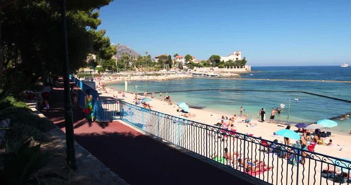 Beach promenade in the Beaulieu-sur-mer village with palm trees, pine trees and azure clear water, French riviera, France
