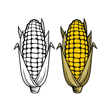 Logo and symbol of corn for Thanksgiving Day