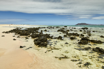 Fototapeta na wymiar Beautiful sunny beach, Fuerteventura, Spain, Canary Islands