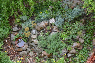 Permacultural element - herb spiral in summer. 