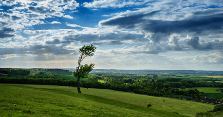 panoramic view of nice green hill  with alone tree on blue and cloudy sky background