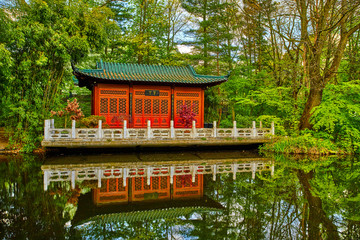 Japanese garden.  Asian garden with a pond
