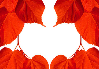 Frame of red autumn tilia leaves