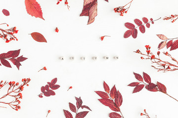 Autumn composition. Word Autumn, flowers and leaves on white background. Flat lay, top view