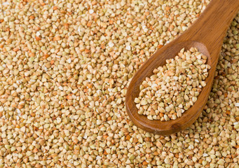 Raw, natural, uncooked buckwheat seed kernels in wooden spoon