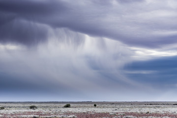 Obraz premium Dramatic Cloud Formation in Australia's desert - Bush