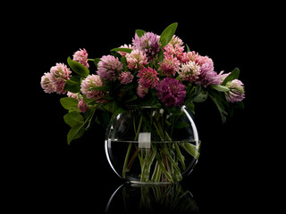 Clover flowers in glass vase