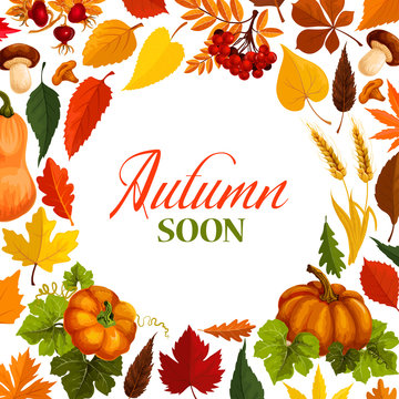 Autumn poster with frame of fall season nature