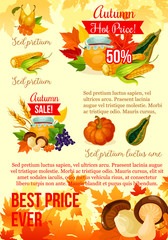 Autumn harvest season sale poster template design