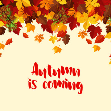 Autumn fall leaves vector poster template