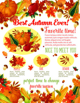 Autumn lovely fall time wishes vector poster