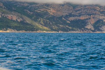 Rocky coast of the Black Sea