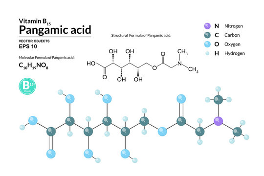 Structural chemical molecular formula and model of Pangamic acid. Atoms are represented as spheres with color coding isolated on background. 2d, 3d visualization and skeletal formula. Vector formula