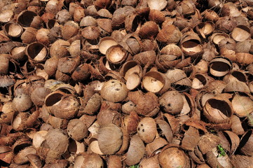 Pile of open and empty coconut shells