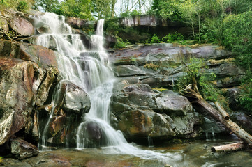 Fototapeta premium Ramsey Cascades in Gatlinburg, Tennessee, U.S.A.