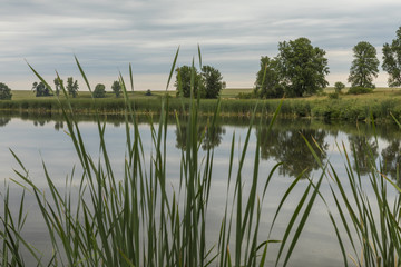 Mound Lake / A small lake surrounded by cattails.
