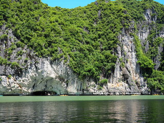 Green forest growing on stone cliff, with sea water reflection