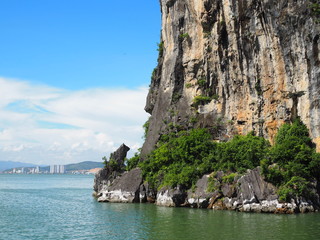 Sharp brown cliff with green tree growing, on green vast sea water