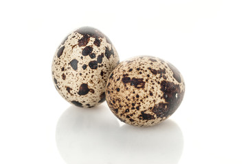quail eggs isolated on white background
