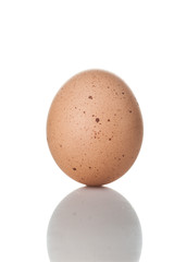 chicken egg standing vertical isolated on white background