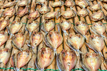 Fish dried by sunlight.