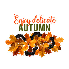 Autumn vector oak acorn or rowan berry fall poster