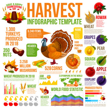 Autumn harvest infographic for Thanksgiving design