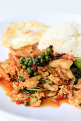 stir fried chicken with roasted chili paste and fresh Piper nigrum on jasmine rice in white plate on white background. Thai style food.