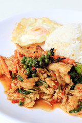 stir fried chicken with roasted chili paste and fresh Piper nigrum on jasmine rice in white plate on white background. Thai style food.