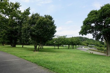 夏の公園散歩