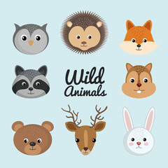 cute wild animal nature fauna set image vector illustration