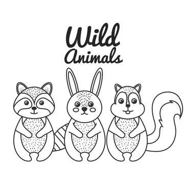 cute wild animal nature fauna set image vector illustration