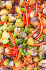 clam