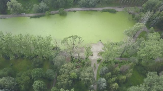 Aerial view, beautiful city park landscape. Green city park. Beautiful nature in the middle of the city. Cityscape with Meadow and The Lake in Park at summer day aerial view