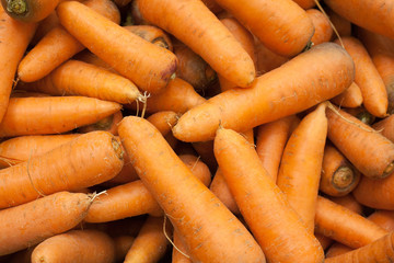 CHAMPIGNONS background texture Fresh champignons. Champignon mushrooms background for sale