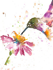 Hummingbird with flower, watercolor painting, lovely art