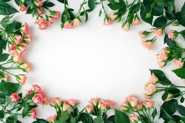 Frame of pink roses on a white background