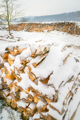 Snow-covered log pile