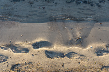 Footprints on the water's edge