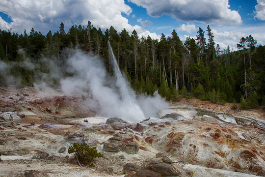 Steamboat Geyser Yellowstone 