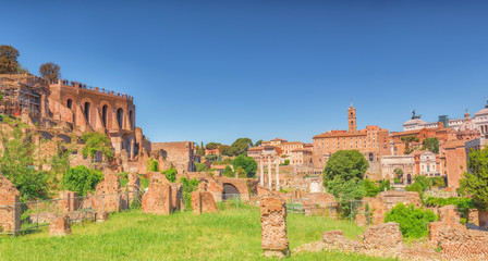 Obraz premium Archaeological and historical objects in Rome, united by the name - Roman Forum. Roman Forum and Palatine Hill.(Foro Romano e Palatino).